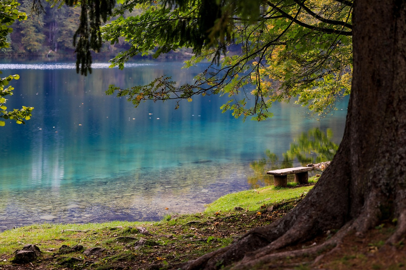 Lake Cypress Springs